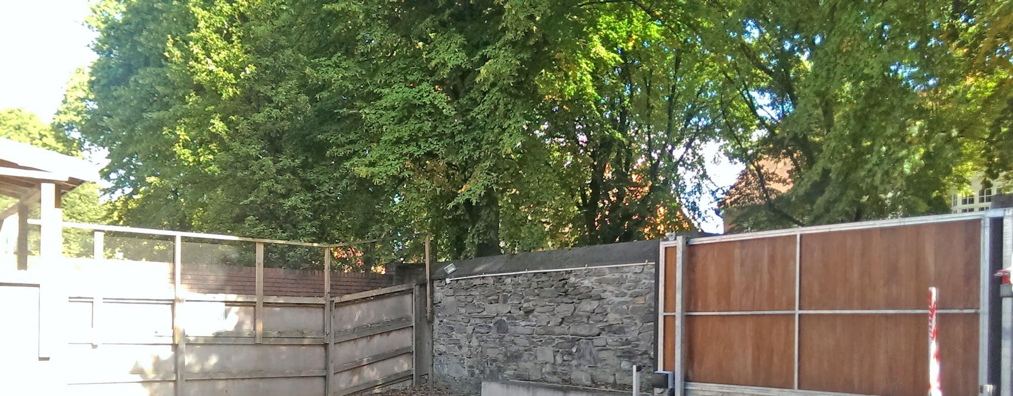 Morehampton Townhouse Dublin Extérieur photo